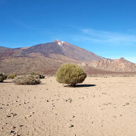 شقة Isla Tenerife Sur (adults Only) لوس أبريغوس