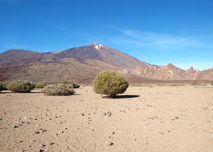 شقة Isla Tenerife Sur (adults Only) لوس أبريغوس